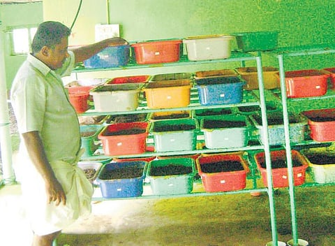 முன்னத்தி ஏர் 13: மண்புழுவே உண்மையான உழவன்