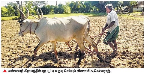 ஏர் பூட்டி உழுத காலம் பொற்காலம்: உலக விவசாயிகள் தினத்தில் விவசாயியின் அனுபவம்