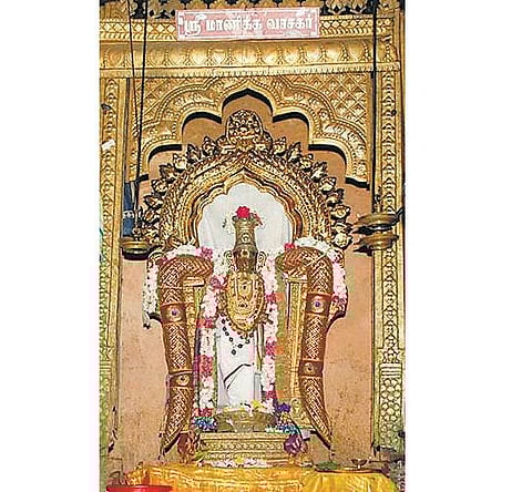 தேரோட்டம் இன்று: ஆத்மநாதா... மாணிக்கவாசகா...