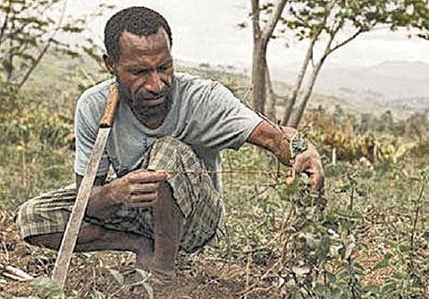 புத்தாண்டும் எல் நினோவும்!