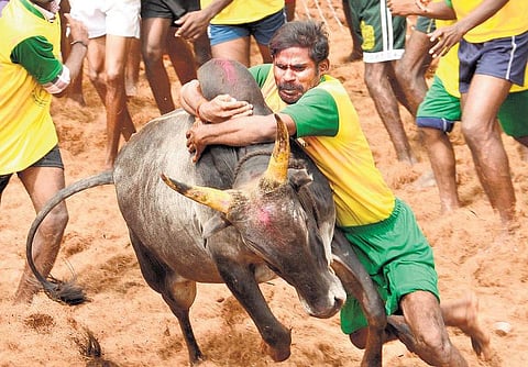 ஜல்லிக்கட்டு மத்திய அரசுக்கு பழ.நெடுமாறன் வலியுறுத்தல்