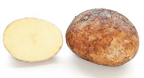 உருளைக்கிழங்கின் தாயகம் எது?