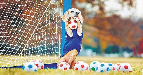 வாண்டு பாண்டு: தண்ணீரைச் சேமிக்கும் சிறுமியின் கண்டுபிடிப்பு