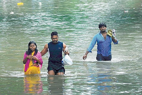 பாலகனும் சிறு பெண்ணும்!