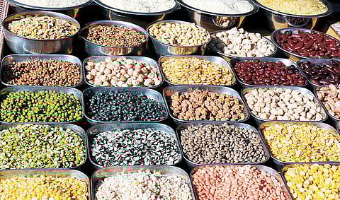 பயறு சாகுபடியில் முதலிடம் வகித்தும் இந்தியாவில் தட்டுப்பாடு: ஹெக்டேருக்கு 1,000 கிலோ உற்பத்திக்கு வேளாண் ஆராய்ச்சிக் கழகம் இலக்கு