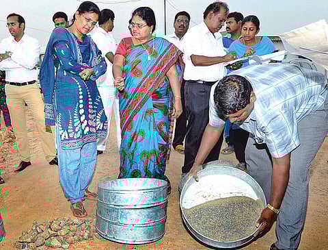 குன்றத்தூர் ஒன்றியத்தில் சாலையின் தரத்தை பரிசோதித்த ஆட்சியர்