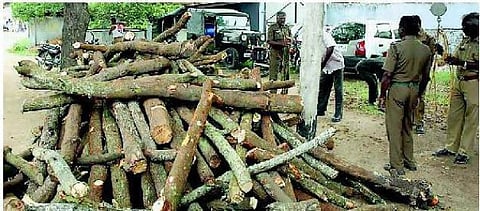 ரூ. 6 கோடி செம்மரம் பறிமுதல் போலீஸ்காரர் உட்பட 19 பேர் கைது