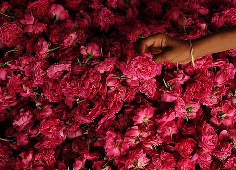 அந்த 7 நாட்கள்