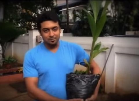 சுற்றுச்சூழல் கல்வியை மாணவர்கள், பொதுமக்கள் மத்தியில் எப்படி எடுத்துச் செல்லலாம்? - நிபுணர்களுடன் நடிகர் சூர்யா முக்கிய ஆலோசனை