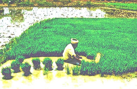 டேஷ் இன் இந்தியாவும் விவசாயிகளை வேர் அறுத்தலும்!