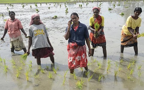 குஜராத் கிராமத்தில் செல்போன் பயன்படுத்த இளம்பெண்களுக்கு தடை