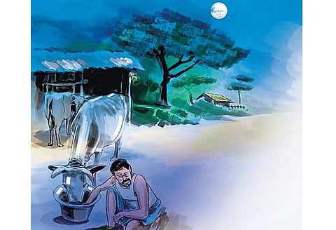 எங்க ஊரு வாசம்: மாடுகளுக்கு தைப்பொங்கல் பிஞ்சைக்குக் காப்பு!