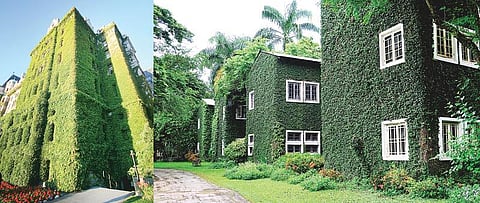 கூரையிலும் புல் வளர்க்கலாம்