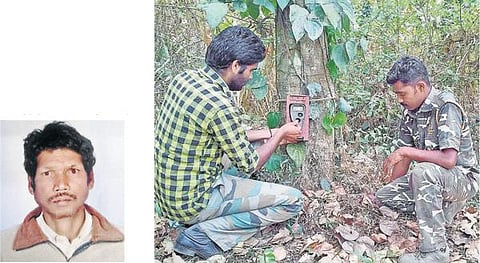 நீலகிரியில் 3 ஆண்டுகளாக மனித வேட்டை: தொழிலாளியை கொன்ற புலியால் பீதி - 3 குழுக்கள் ரோந்து பணி; கூண்டுகள் அமைப்பு