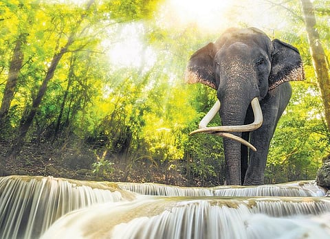 என்ன படிக்கலாம்? - பருவநிலை மாற்றத்தைத் தடுக்க