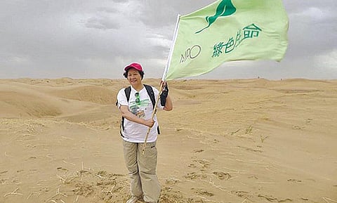 உலக மசாலா: மரங்களின் தாய்!