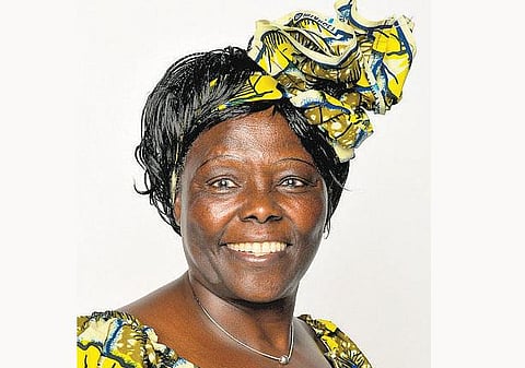 வாங்கரி மத்தாய் 10