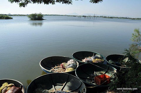 59 - தர்மபுரி