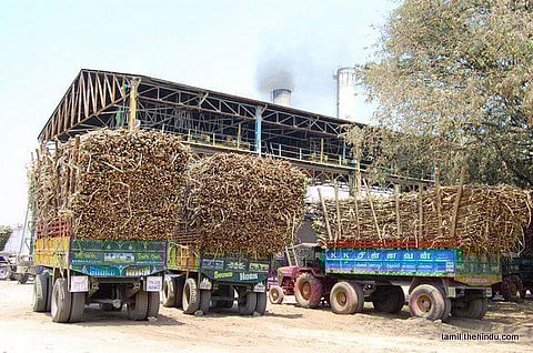 57 - பாலக்கோடு