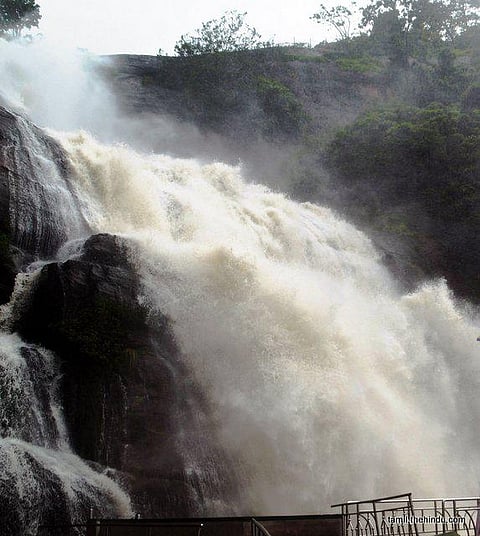 222 - தென்காசி