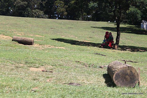 109 - கூடலூர்(தனி)