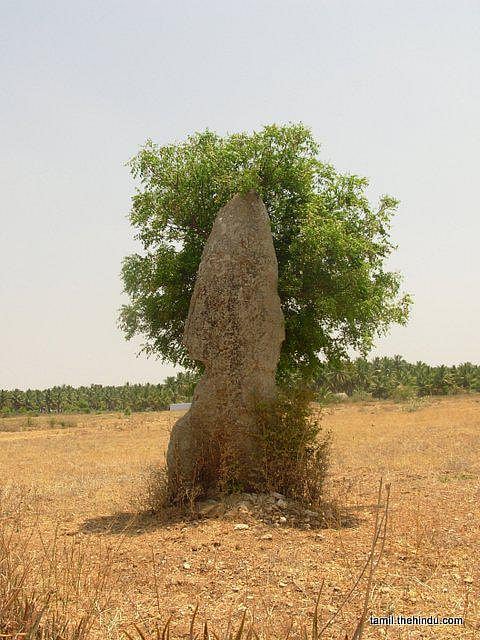 125 - உடுமலைப்பேட்டை