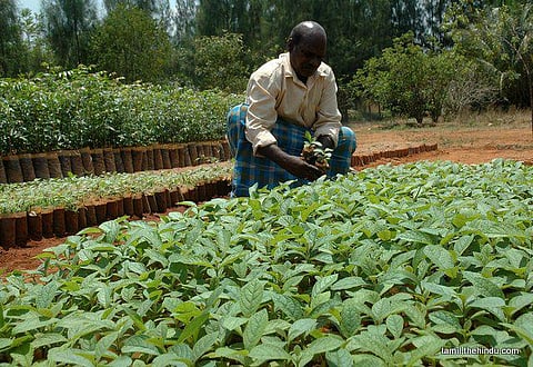 50 - திருப்பத்தூர்