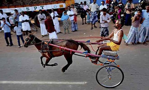 177 - பேராவூரணி