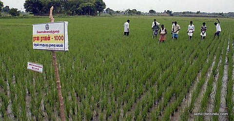 169 - நன்னிலம்