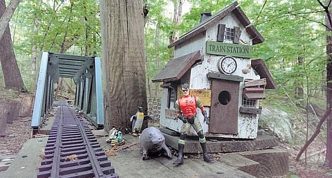 காட்டுக்குள் ஒரு ஜிக்குபுக்கு...!