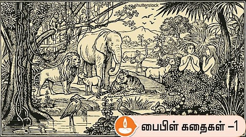 பைபிள் கதைகள் 1: தோட்டத்தை இழந்த தோழர்கள்