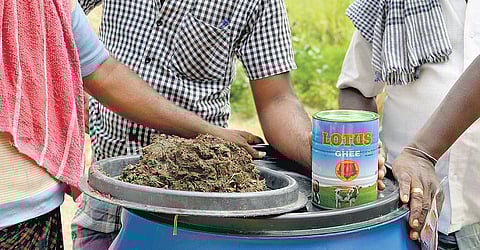 முன்னத்தி ஏர் 26: நெல்லுக்கு ஊட்டம் தரும் இயற்கைக் கரைசல்கள்