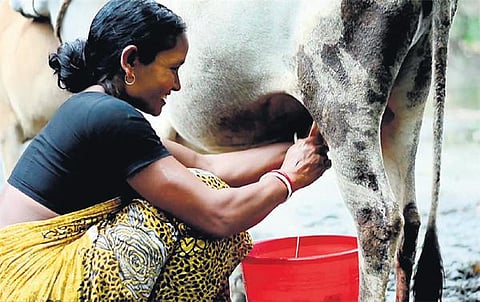 என் பாதையில்: வாழத் தெரிந்தவர்கள்!