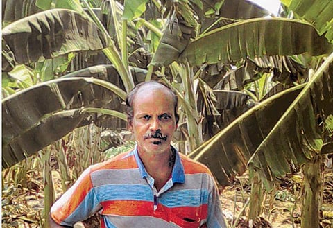 முன்னத்தி ஏர் 28: பஞ்சாலையைத் துறந்து காய்கறி சாகுபடிக்கு...