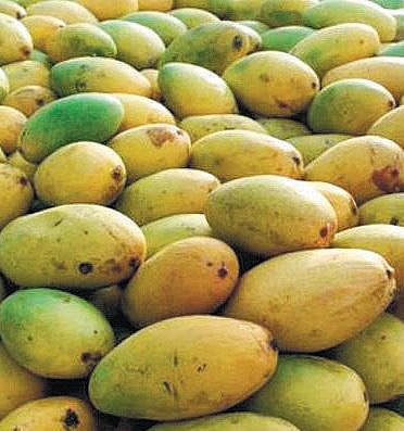 மாம்பழ இறக்குமதிக்கு உள்ள தடை விரைவில் நீக்கப்படும்: கொரிய தூதர் அறிவிப்பு