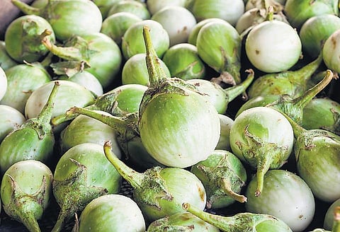 முன்னத்தி ஏர் 29: சொத்தை குறைவு, லாபம் அதிகம்