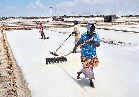 சுட்டெரிக்கும் வெயிலால் தூத்துக்குடியில் உப்பு உற்பத்தி அதிகரிப்பு
