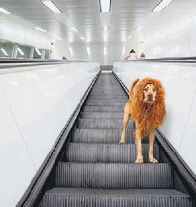 வாண்டு பாண்டு: சின்னப் பசங்க போடும் ஓட்டு!