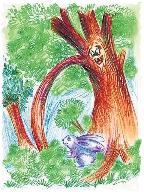 சித்திரக்கதை: மரம் கொண்டாடிய பிறந்த நாள்