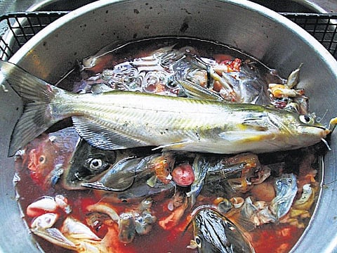 முன்னத்தி ஏர் 30: கண் முன்னே பெருகும் வளம்