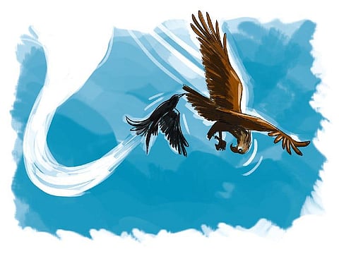 கரிச்சான்களின் வீரம்!