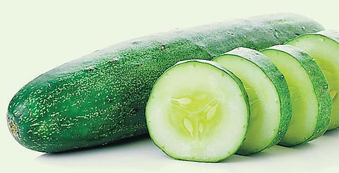 குறிப்புகள் பலவிதம்: வெயிலுக்கு ஏற்ற வெள்ளரி!