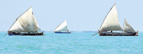 ராமேசுவரம் தீவுப் பகுதிகளில் உயிர்ப்புடன் பின்பற்றப்படும் பாய்மரப் படகு மீன்பிடி முறை