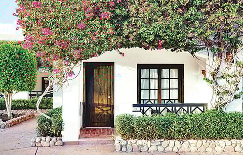 குளுமை தரும் பசுமை வீடுகள்