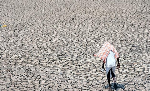 வறட்சி பாதித்த பகுதிகளில் விவசாயிகளுக்கு நிலுவை தொகை, நஷ்டஈடு வழங்க வேண்டும்: மத்திய அரசுக்கு உச்ச நீதிமன்றம் உத்தரவு