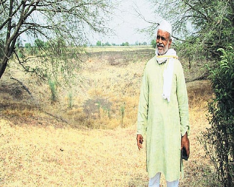 நம்பிக்கை விதை1 - வறட்சியில் இரண்டு மடங்கு அறுவடை சாதித்த லாத்தூர் இயற்கை உழவர்