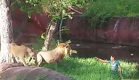 ஹைதராபாத்: சிங்க குகைக்குள் குதித்த போதை இளைஞர் மீட்பு