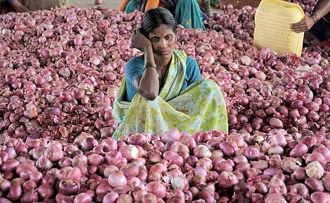 ஒரு டன் வெங்காயம் விற்ற விவசாயிக்கு கிடைத்தது ஒரு ரூபாய்: மகாராஷ்டிராவில் அவலம்