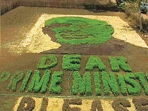 பிரதமர் கவனத்தை ஈர்க்க பயிர் ஓவியம்: மத்தியப் பிரதேச விவசாயிகள் அசத்தல்