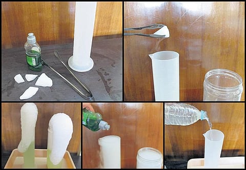 அடடே அறிவியல்: யானையின் பற்பசை!